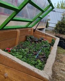 Пластиковый парник для дачи: эффективное решение для садоводства