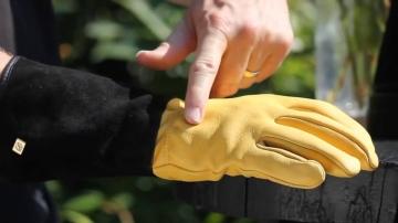 Выбор лучших перчаток для работы с розами - погружение в мир розовых садов без опасности повреждений