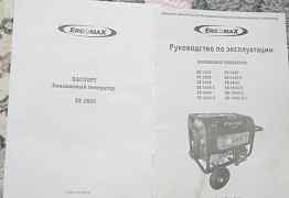 Бензиновый генератор ergomax ER 2800