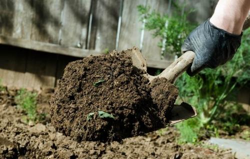 Как эффективно устранить яму в огороде без лишних затрат и усилий?