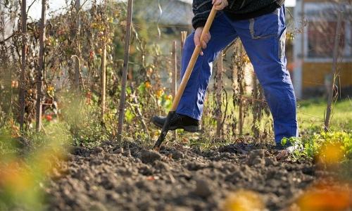 Как эффективно устранить яму в огороде без лишних затрат и усилий?