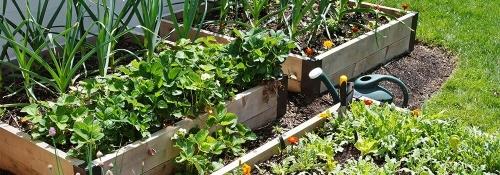Средства от садовых муравьев - эффективное решение для сада и огорода, которое поможет избавиться от назойливых насекомых и сохранить урожайность