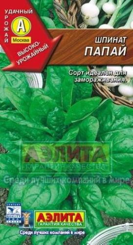 Выращивание и уход за шпинатом огородным - полезные свойства и рецепты использования