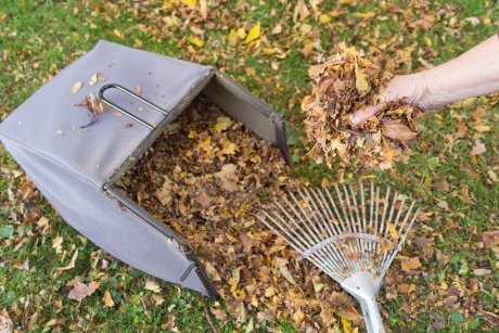 Как правильно убрать листву на даче осенью 5 лучших способов