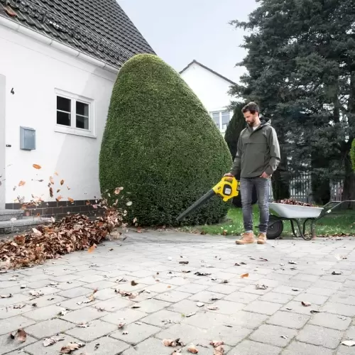 Как правильно убрать листву на даче осенью 5 лучших способов