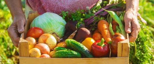 Овощи и их разнообразие - узнай, какие продукты относятся к этой группе