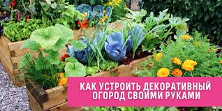 Подбор актуальных растений для посадки на огород в августе и получение богатого урожая