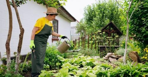 Полезные идеи и советы для огородников - как сделать огород еще лучше и более продуктивным