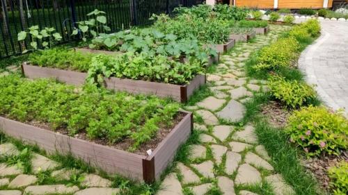 Полезные идеи и советы для огородников - как сделать огород еще лучше и более продуктивным