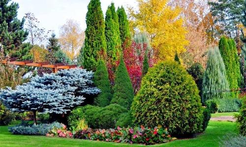 Цветущий огород - уникальные советы, как создать красочный и впечатляющий уголок на своем участке!