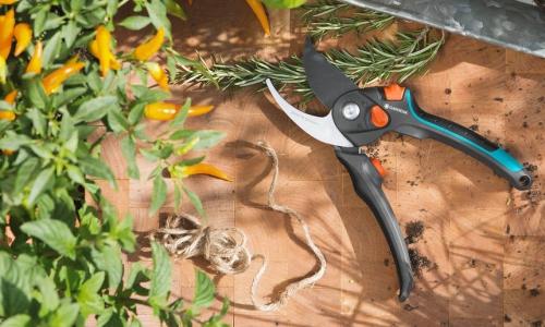 Садовые секаторы - принцип работы, виды и особенности выбора инструмента для эффективной обрезки растений и деревьев в саду