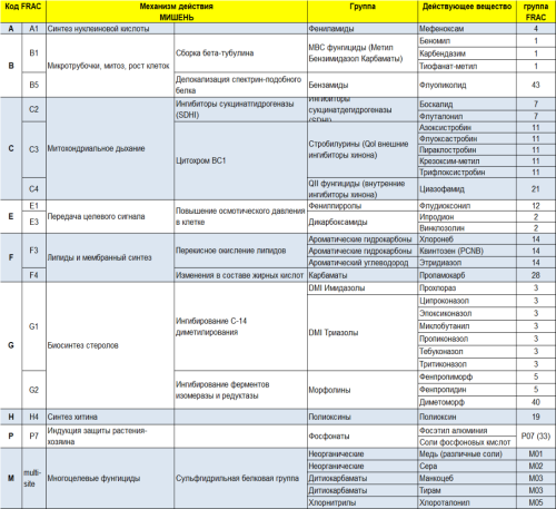Список фунгицидов для растений - эффективные препараты и особенности использования