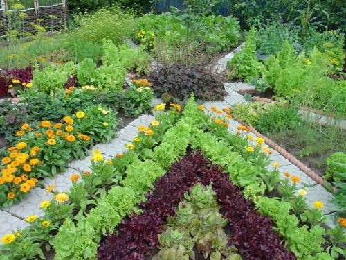 Секреты успешного выращивания растений - как создать ухоженный огород и получить великолепный урожай