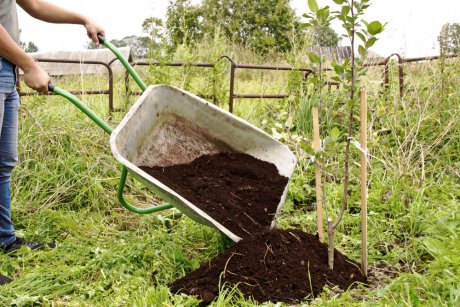 Торф для огорода — полный гид по применению и пользе для растений