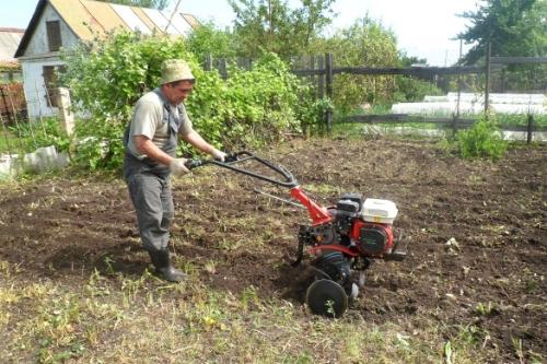 Техника для огорода - все необходимое для комфортной и эффективной работы