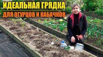 Как создать теплый огород и успешно вырастить урожай без использования парников