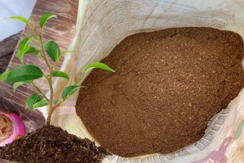 Табачная пыль в огороде - полезные свойства и способы применения для повышения урожайности и защиты растений