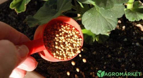 Как выбрать и применить сухое удобрение для огорода - советы и рекомендации для эффективного роста и урожайности растений без химических веществ
