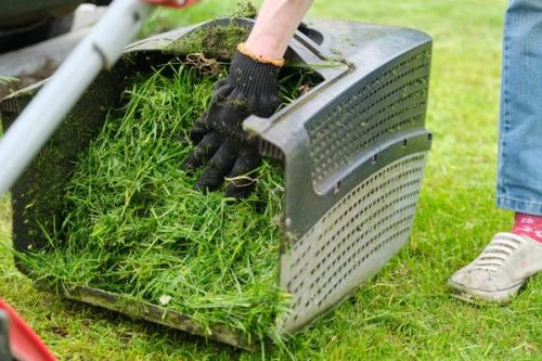 Сухая трава в огороде - как использовать и утилизировать ее, получая пользу