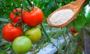 Сода в огороде - удивительные преимущества и разнообразные способы использования