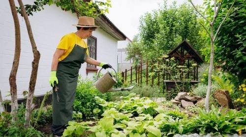 Современный огород - секреты успешного выращивания и ухода, которые помогут вам получить богатый урожай
