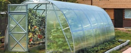 Теплица с сотовым поликарбонатом - новейшее решение для выращивания растений безупречного качества!