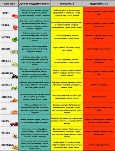 Таблица севооборота на огороде - правила и рекомендации для успешного урожая
