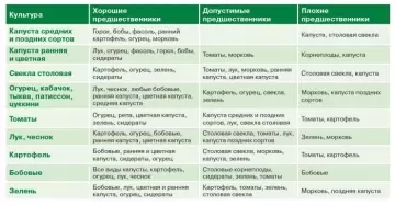 Таблица севооборота на огороде - правила и рекомендации для успешного урожая