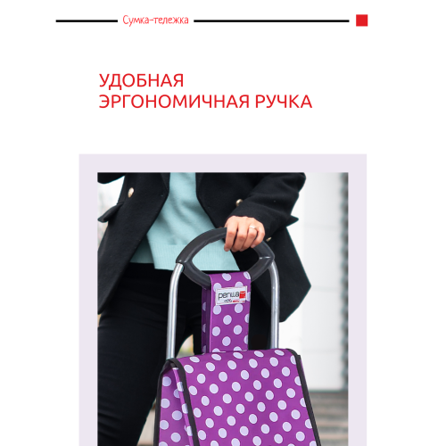 Тележка-сумка - современный способ комфортно и практично переносить вещи