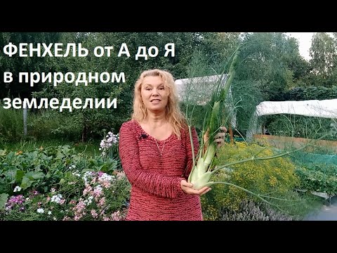 Сад, огород и зимняя теплица: полезные советы и рекомендации