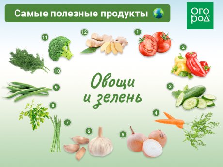 Самые полезные овощи для здоровья и иммунитета - список и рецепты