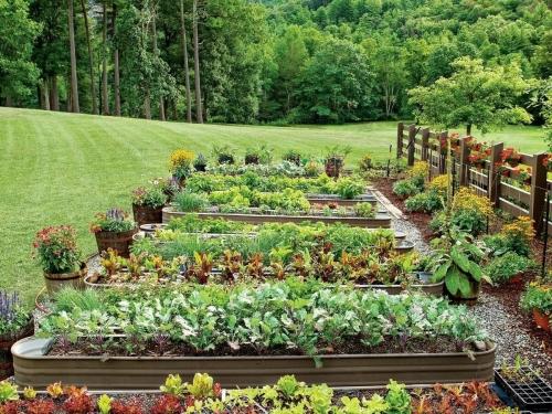 Самодельный огород - создаем уютный уголок для выращивания свежих овощей прямо у себя на даче