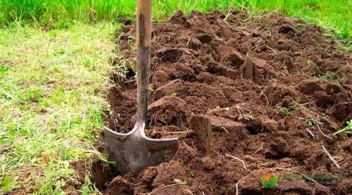 Ручные рыхлители для огорода - все, что вам нужно знать о выборе и использовании лучшего инструмента для обработки почвы на огороде