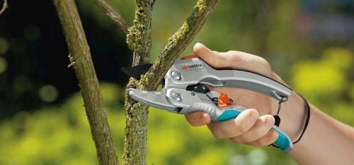 Выбор и рекомендации садового секатора для обрезки высоких деревьев - как правильно подобрать инструмент для вашего сада и осуществить безопасное обрезание