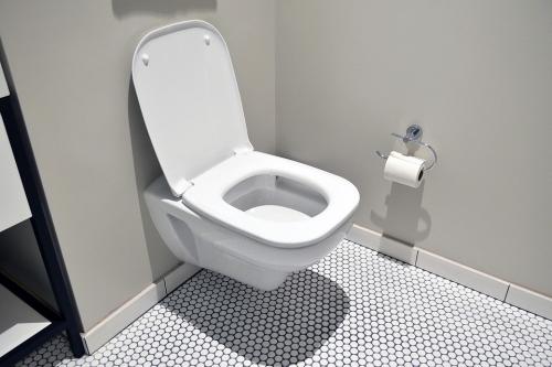 Секреты правильного выбора размеров туалета для дачи: как не ошибиться со спецификацией