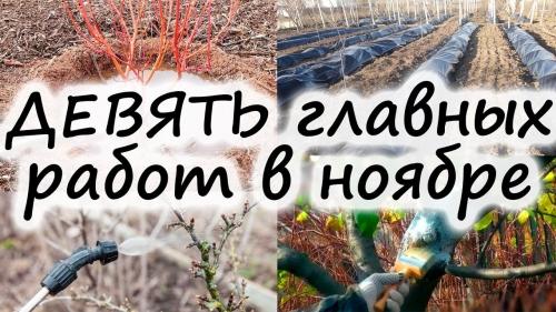 Сезонные работы и подготовка к зиме в саду и огороде - что нужно делать в ноябре