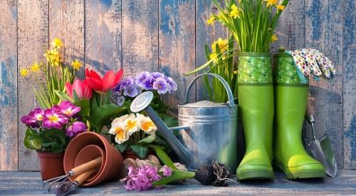 Полезные советы по уходу за огородом и дачей - как сделать ваш сад красивым и плодородным без лишних хлопот