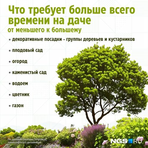 Полезные советы по уходу за огородом и дачей - как сделать ваш сад красивым и плодородным без лишних хлопот