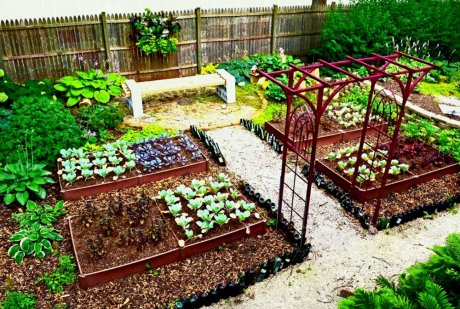 Пример простого огорода - пошаговая инструкция по созданию и уходу за маленьким садом