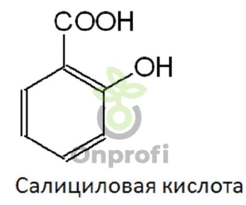 Применение салициловой кислоты в огороде - эффективное средство для повышения урожайности и защиты растений