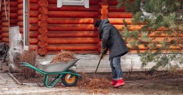 Полезные работы на даче в ноябре: подготовка к зиме и уход за растениями