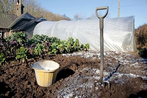 Полезное применение перепелиного помета в огороде - удобрение, улучшение почвы, повышение урожайности