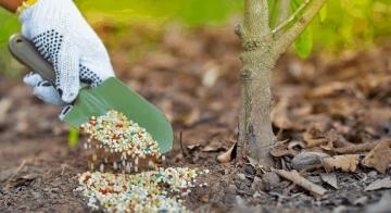 Применение кальция в огороде - полезные советы и рекомендации для улучшения урожая и здоровья растений