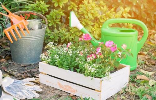 Семена, рассада, саженцы и луковицы - идеальный садовый посадочный материал для прекрасного озеленения вашего сада!