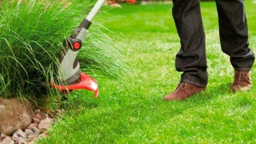 Как правильно косить траву на даче эффективные советы и рекомендации