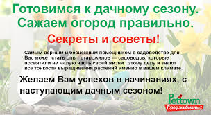 Как получить богатый урожай на огороде - полезные советы и рекомендации для успешной посадки