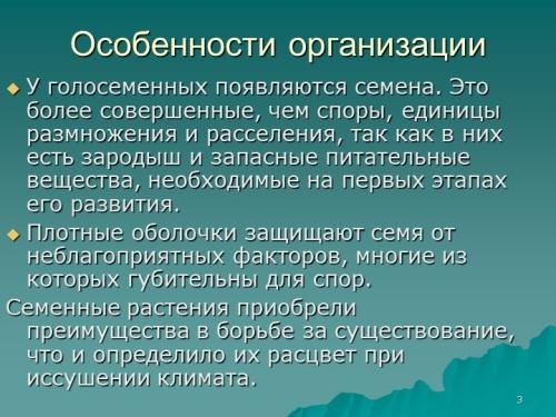 Почему семенные растения наиболее распространены в природе? Преимущества размножения семенами в эволюционной борьбе и долгосрочной выживаемости в суровых условиях