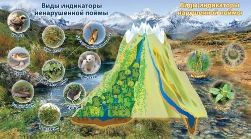 Почему сохранение биоразнообразия земли необходимо для экосистемы и человечества