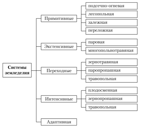 Переложное земледелие - уникальные преимущества и особенности инновационной практики в сельском хозяйстве