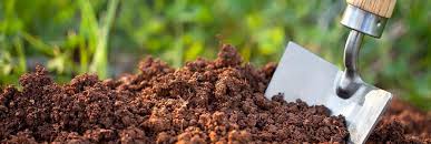 Применение и особенности перегной растительного и животного происхождения для увеличения плодородия почвы и улучшения качества урожая